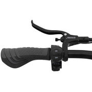 OOTD T30