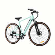 YANGOR Y700 City Electric Bike 36V 250W, Torque Sensor, 85KM Range - image 9