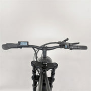 Wheelworks C91 Fat bike 1000W - Brun