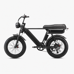 YANGOR Y20 ProMax All-Terrain E-Bike 20×4.0 Tires, 150KG Load - image 2