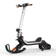 Wheelworks SnowTrekker