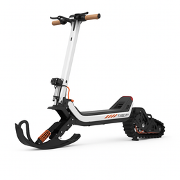 Wheelworks SnowTrekker