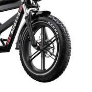 Duotts F20 - Elfatbike