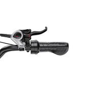 Duotts F20 - Elfatbike