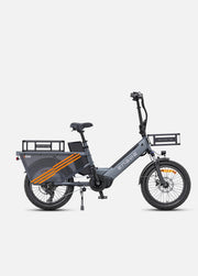 ENGWE LE20 single/dual