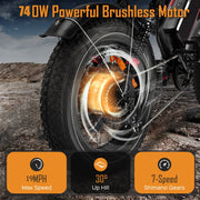 Wheelworks S8 - 1000 W