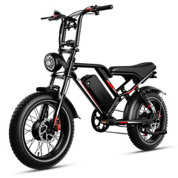 Wheelworks S8 - 1000 W