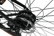 YANGOR Y700 City Electric Bike 36V 250W, Torque Sensor, 85KM Range - image 5