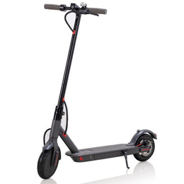 Wheelworks V9 - 250 W